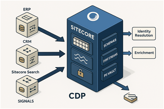 A diagram showing ERP, CRM, and Sitecore Search data flowing into a central Sitecore CDP hub.